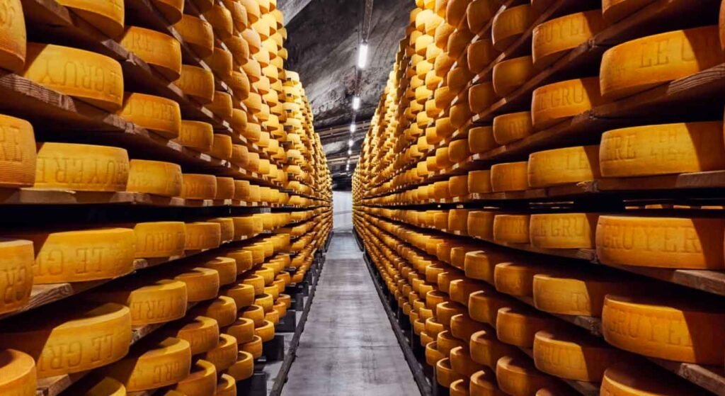 Swiss cheese